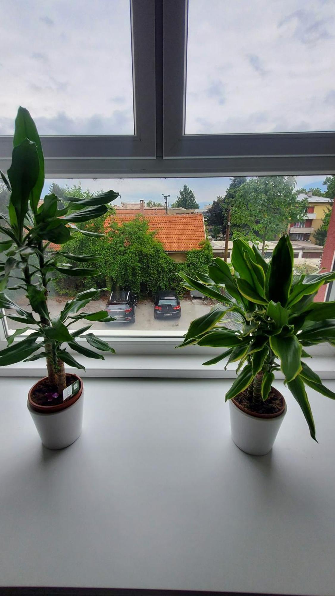 Apartmani Blue I Green بوغوينو المظهر الخارجي الصورة